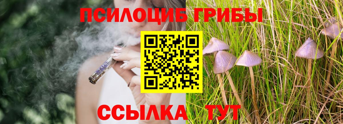 Галлюциногенные грибы Magic Shrooms  Вход с VPN  Чебаркуль 
